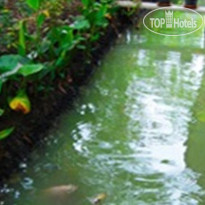 Warakorn Baansuan Amphawa