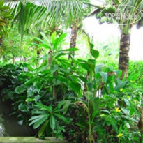 Warakorn Baansuan Amphawa