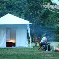 Khao Kheow Es-ta-te Camping Resort & Safari Палатка