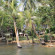 Vanalee Resort 