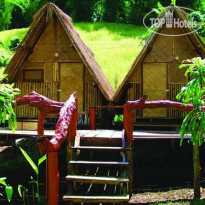 Bamboo Country Lodge 