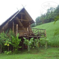 Bamboo Country Lodge 