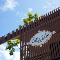 Calla Lily Boutique Residence 