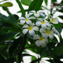 You And Me Guesthouse And Spa Chiangmai