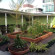 Zak Residence 