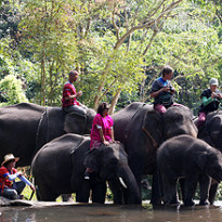 Veranda Resort & Spa Chiang Mai