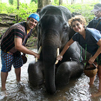 Veranda High Resort Chiang Mai Катание на слонах