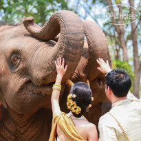 Anantara Golden Triangle Elephant Camp & Resort 