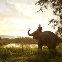 Anantara Golden Triangle Elephant Camp & Resort 