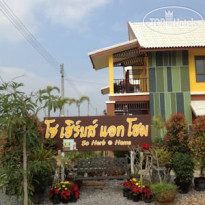 So Herbs @ Home Resort