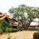 Kong Garden View Resort Chiang Rai 