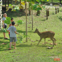 Huaikhum Resort 