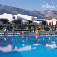 The Olive Tree Hotel 4*