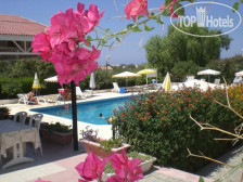 Citrus Tree Gardens 3*