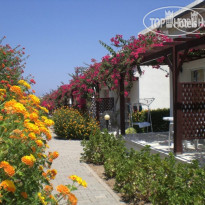 Citrus Tree Gardens 