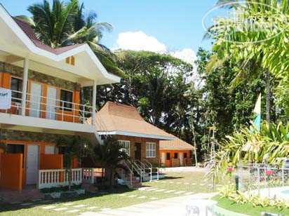 Photos Bohol Coconut Palms