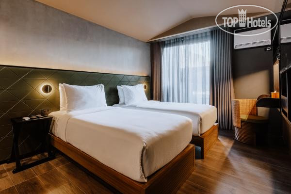 The Funny Lion El Nido