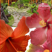 Hibiscus Garden Inn 
