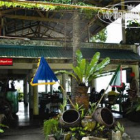 Malasag Eco Tourism Village 
