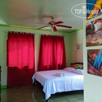 Reddoorz @ Garcia Hernandez Bohol 