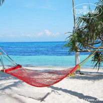 Malapascua Exotic Island Dive & Beach Resort 