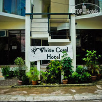 White Coral 