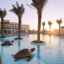 Pool в Saadiyat Rotana Resort & Villas 5*