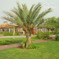 Umm Al Quwain (UAQ) Beach 