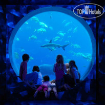 Atlantis - The Palm Детский Клуб Atlantis Kids Clu