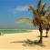 Пляж в La Caleta 3*