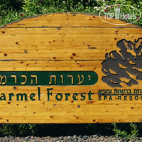 Carmel Forest Spa Resort 