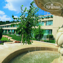 Carmel Forest Spa Resort 