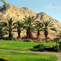 Ein Gedi Resort 