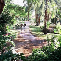 Ein Gedi Resort 