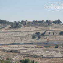 Mount Of Olives Елионская гора.