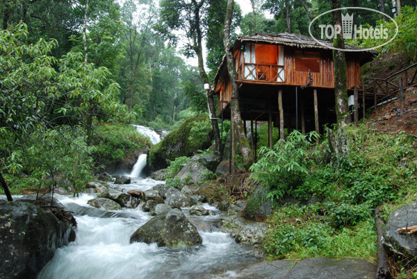 Фотографии отеля  Blue Ginger Wayanad Resorts 3*