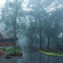 Blue Ginger Wayanad Resorts 