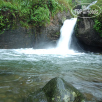 Blue Ginger Wayanad Resorts 