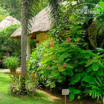 Carnoustie Ayurveda & Wellness Resort 