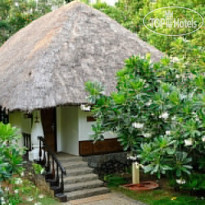 Carnoustie Ayurveda & Wellness Resort 