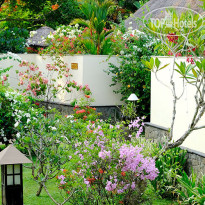 Carnoustie Ayurveda & Wellness Resort 