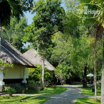 Carnoustie Ayurveda & Wellness Resort 