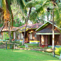 Kairali Ayurvedic Healing Village 