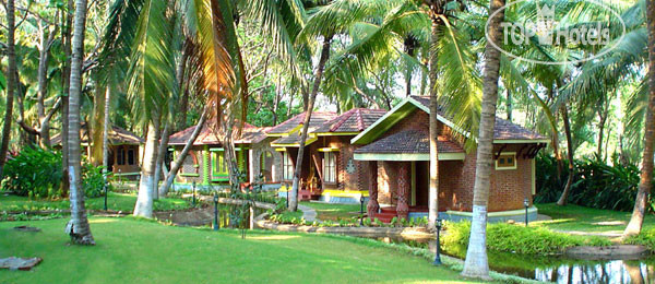 Фотографии отеля  Kairali Ayurvedic Healing Village 