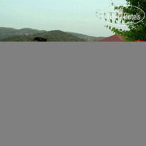 Tiger Den Resort
