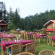 The Chalets Naldehra Welcome Heritage 