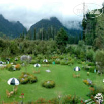 Solang Valley Resort 