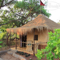 Banyan Tree Yoga 