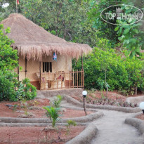 Banyan Tree Yoga 