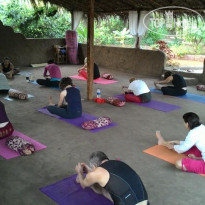 Banyan Tree Yoga 